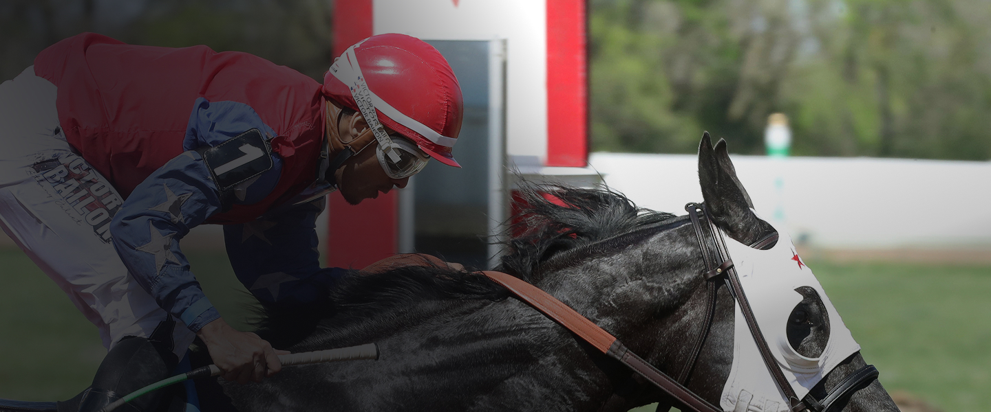 THE NELLY CUP AT FAIRMOUNT PARK